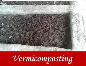 Vermi composting